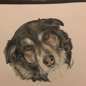 Meet your Posher, Sheri